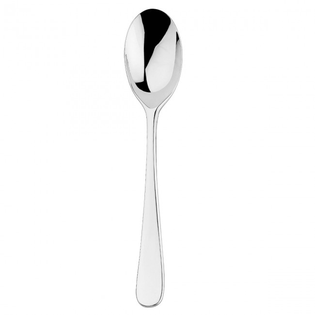 Dessert spoon 18/10 stainless steel 3.8mm mirror finishing - Set of 6 - Aquatic - Guy Degrenne