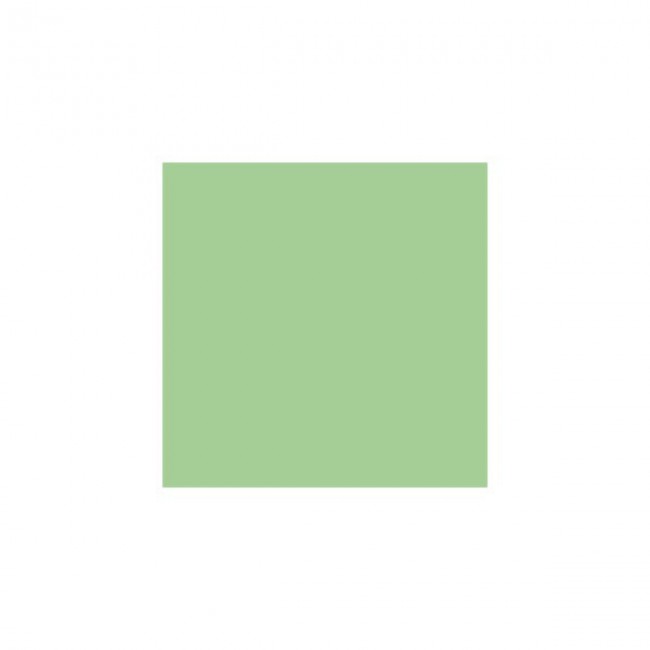 Serviette vert anis en papier tissu 1 pli 20 x 20cm - Lot de 100 - Serviettes - AZ boutique