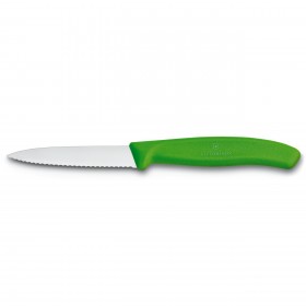Paring knife with 3" serrated blade and green synthetic handle
