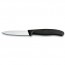3" paring knife - swissclassic - victorinox