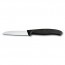 Paring knife 3" serrated blade - swissclassic - victorinox