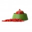 Pomegranates Ginner Green Ibili