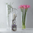 Conical glass vase 19.7"  - Leonardo
