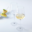 White wine glass 19oz / 56cl - Set of 6  - Leonardo