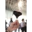 Open Up Mikasa wine glass Pro tasting